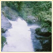 Meenvallam Waterfalls